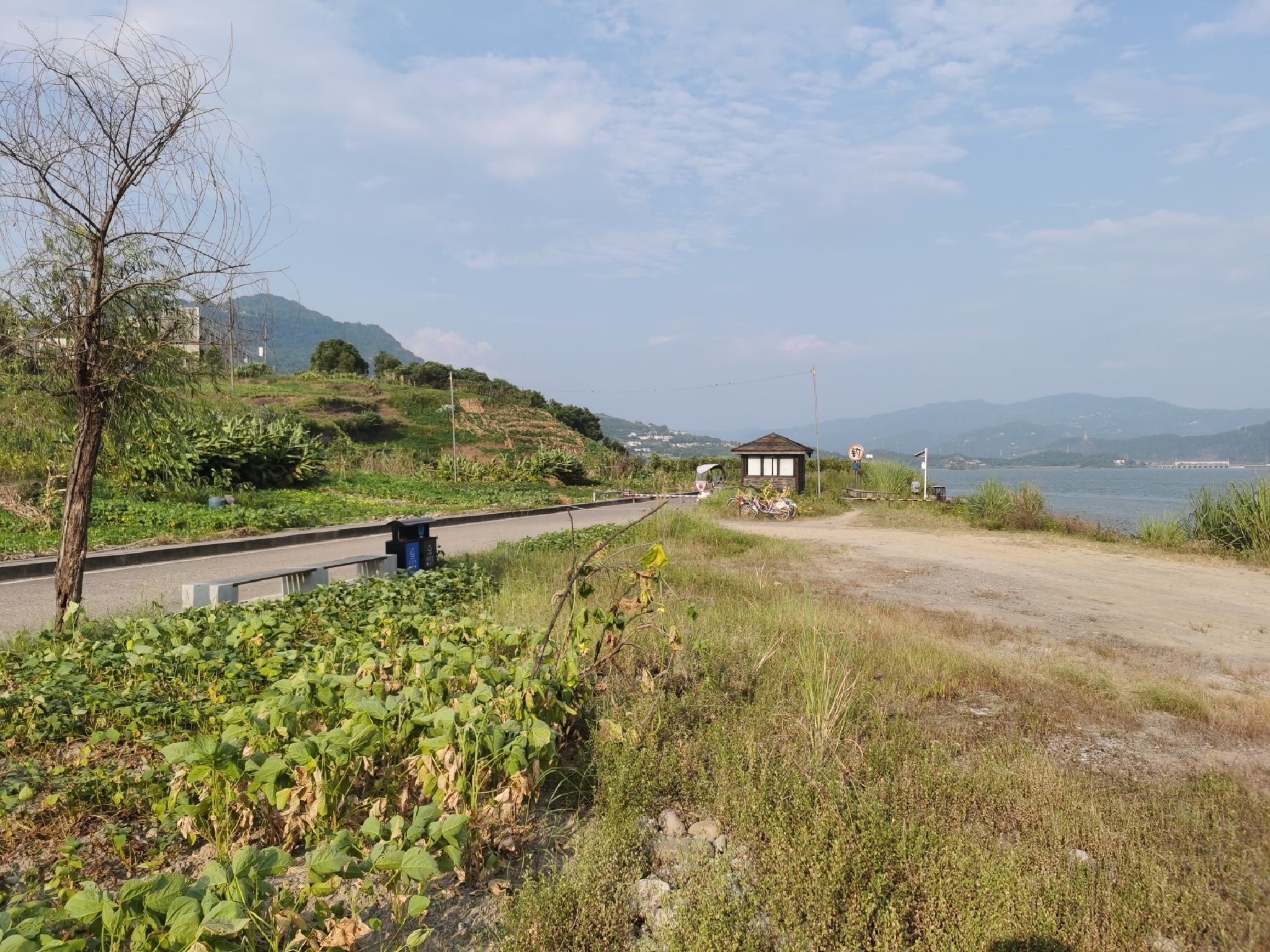 汉丰湖观鸟台旅行图片 1