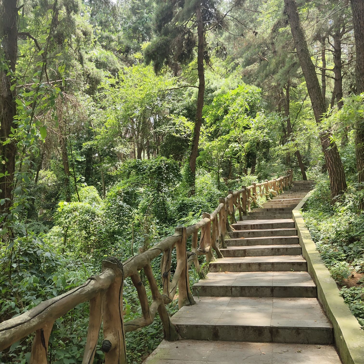 二层岩森林公园旅行图片 2