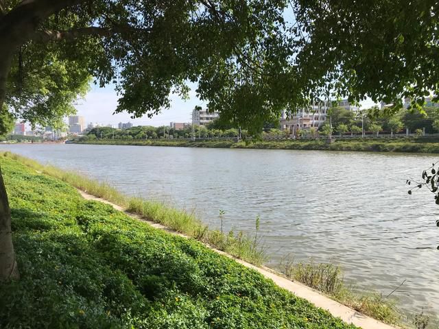 玉林市江心岛公园