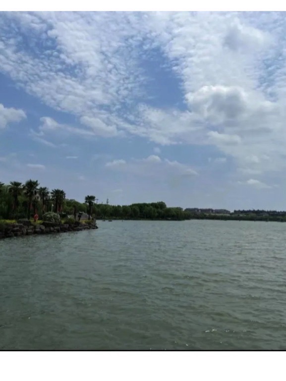 月亮湾沙滩旅行图片 3