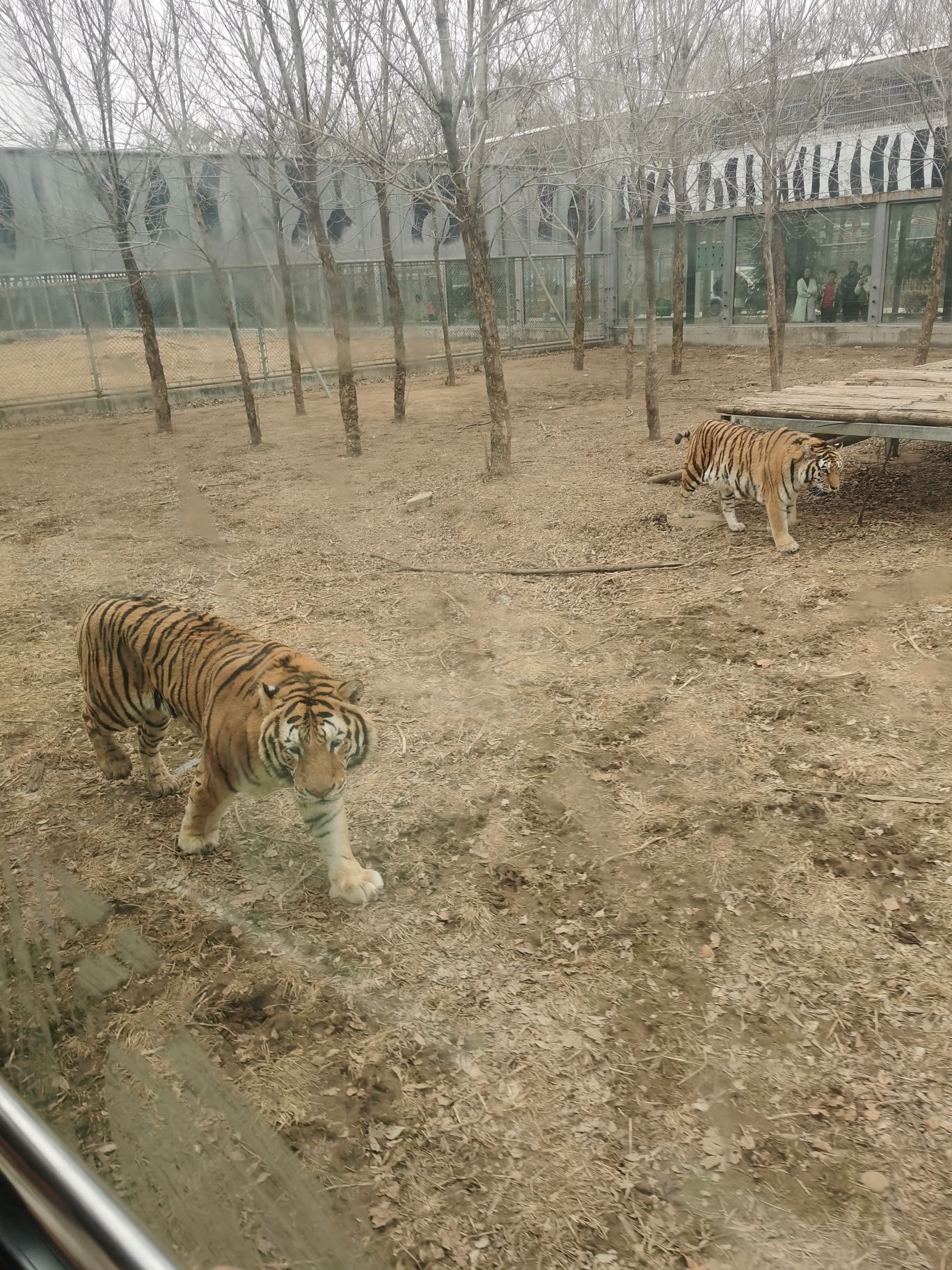 濮阳东北庄野生动物园旅行图片 2