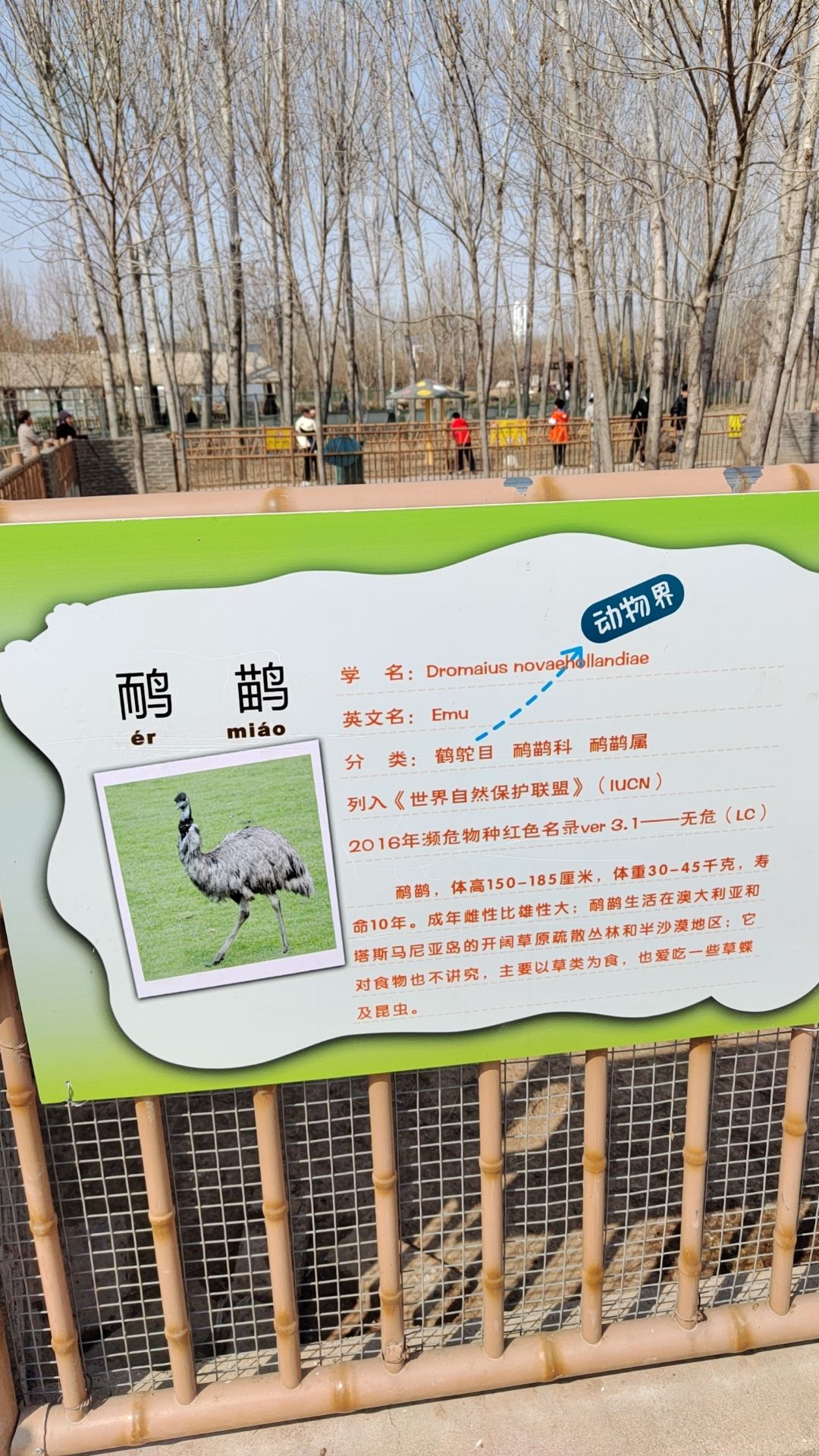 濮阳东北庄野生动物园旅行图片 3