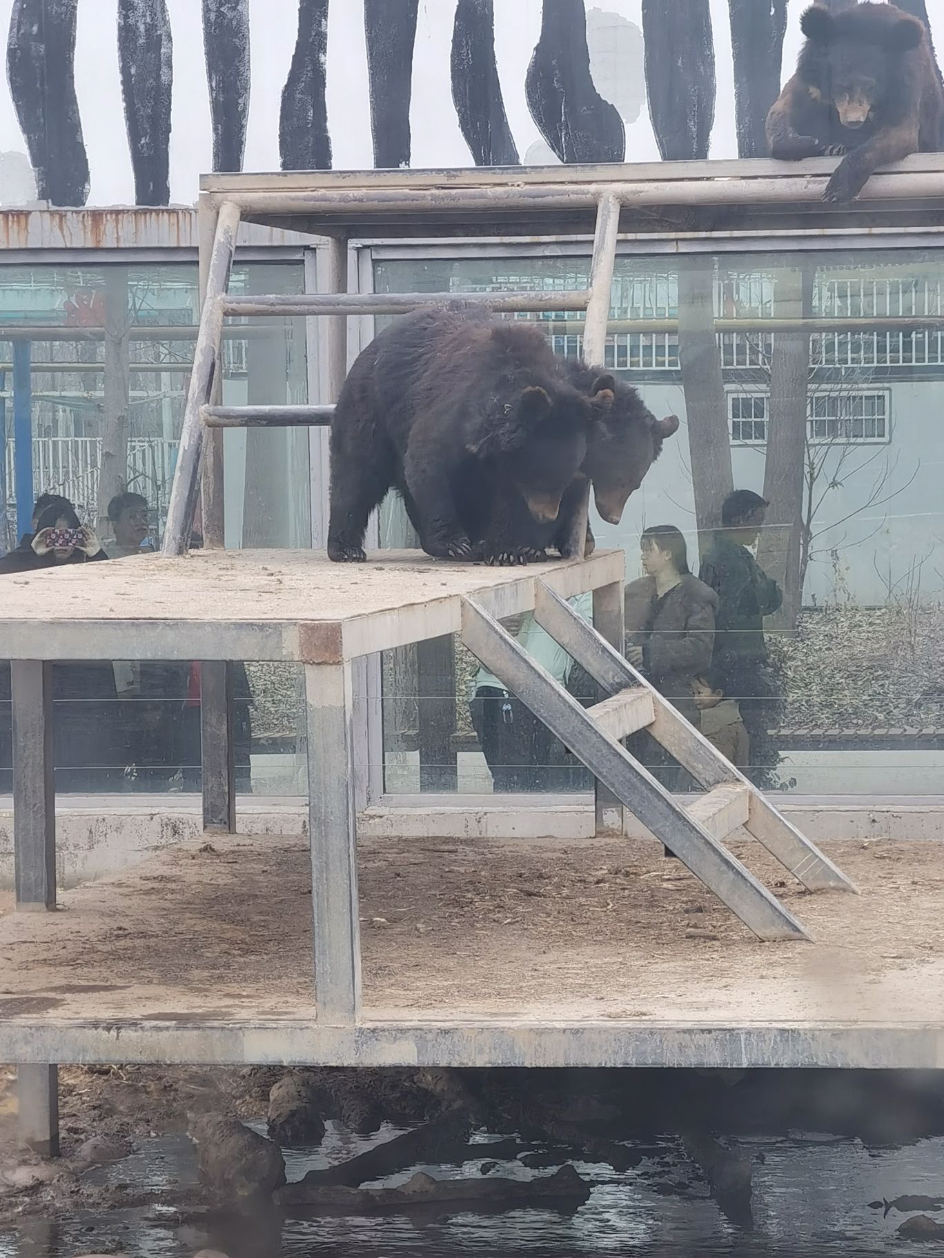 濮阳东北庄野生动物园旅行图片 1