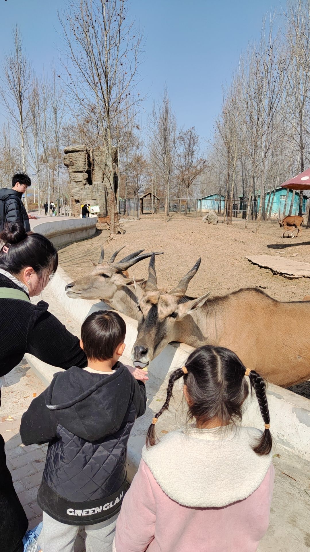 濮阳东北庄野生动物园旅行图片 2