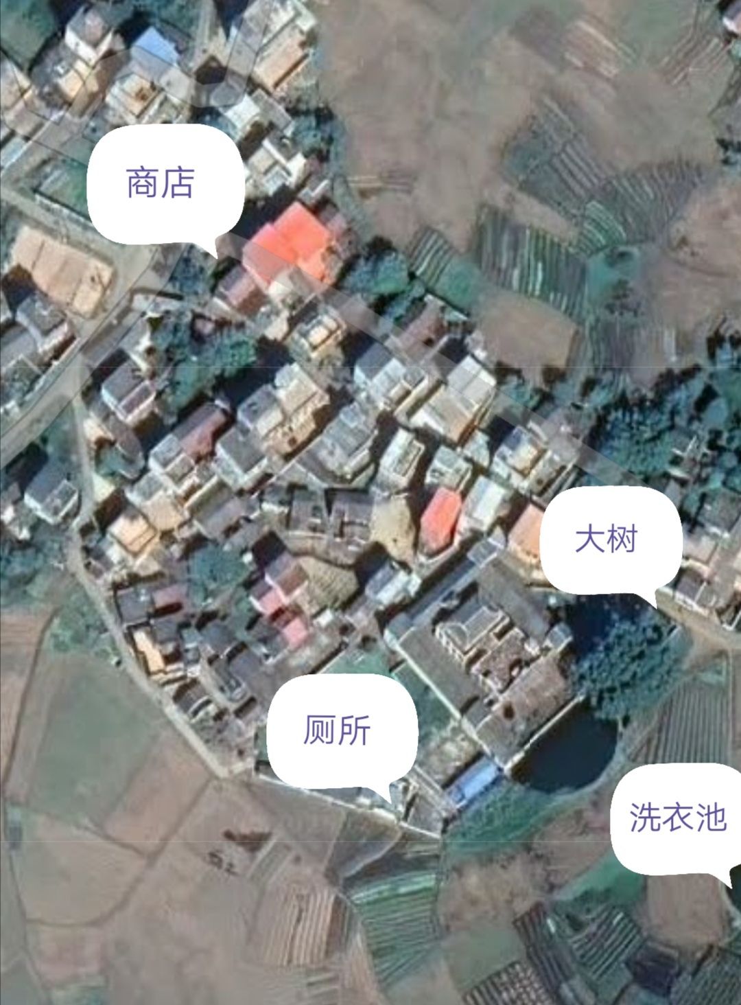 郭松年庄园旅行图片 1