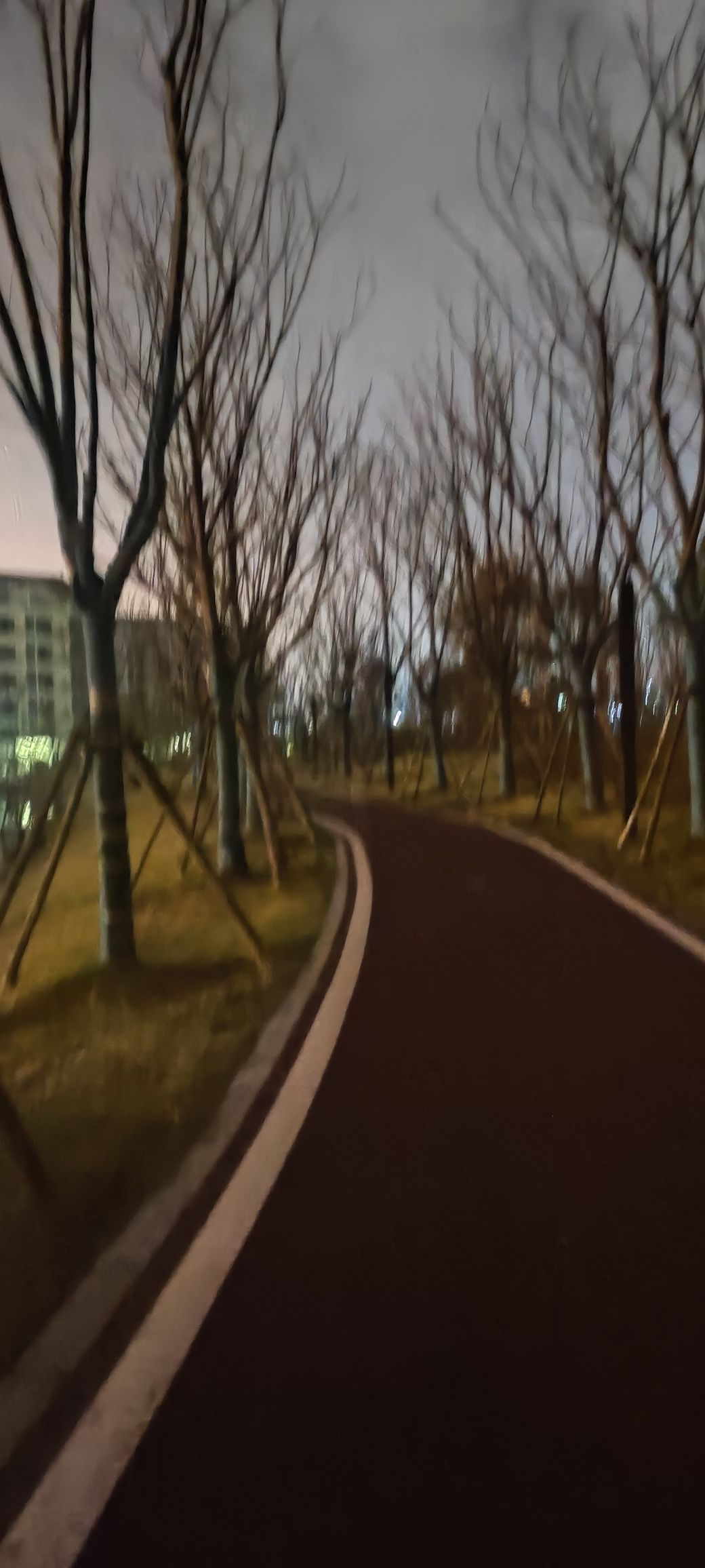 上湖公园旅行图片 2