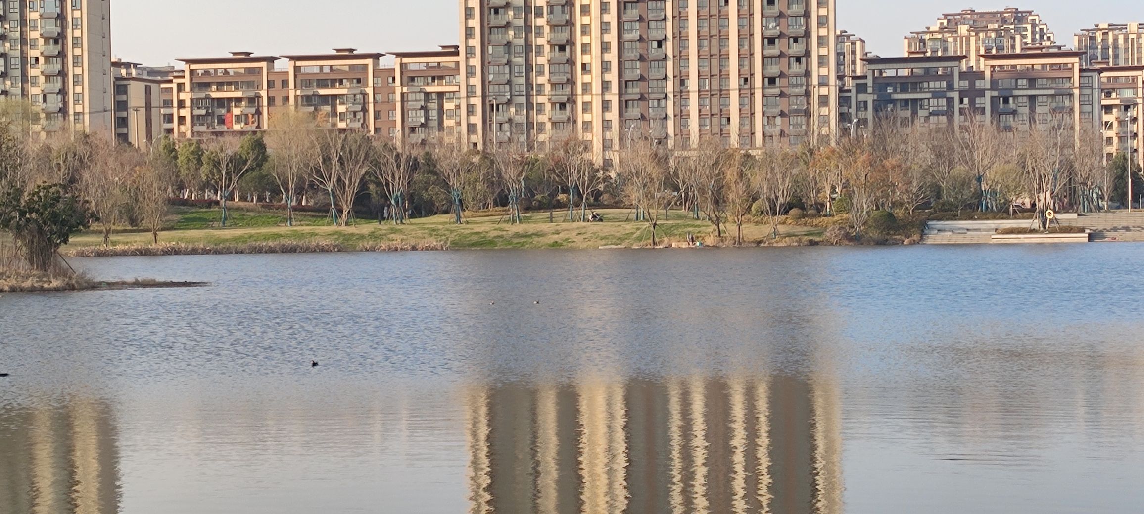上湖公园旅行图片 1