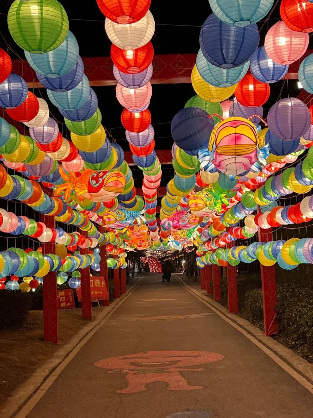 双桂田园景区旅行图片 2