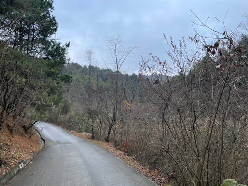 峰泰湖森林公园旅行图片 1