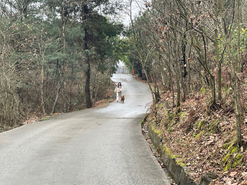 峰泰湖森林公园旅行图片 2