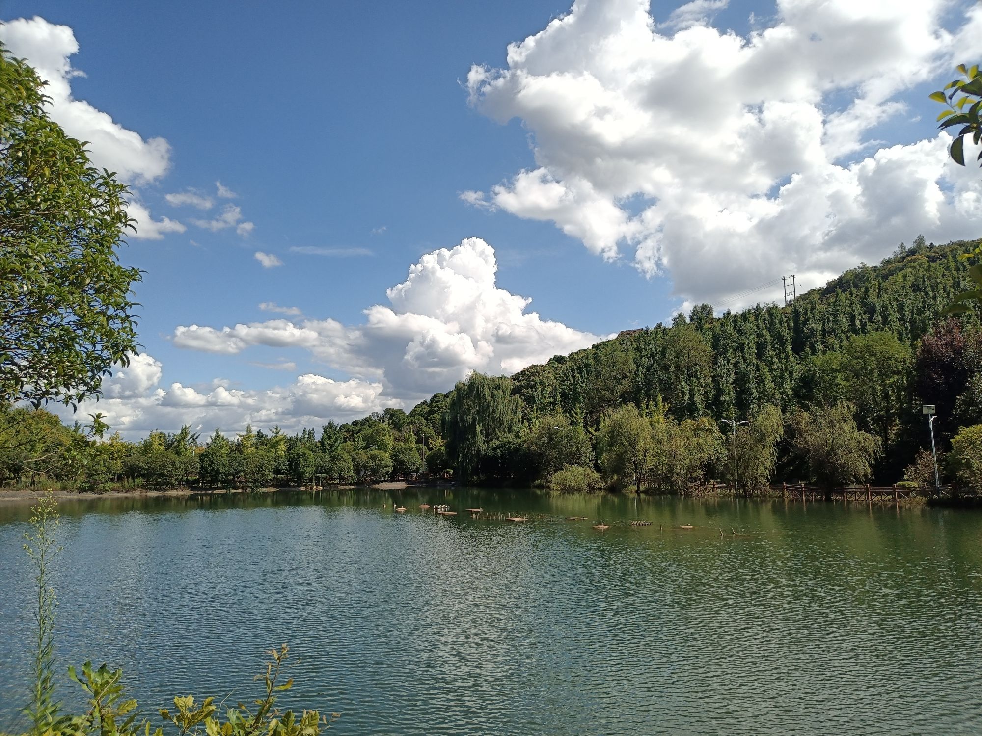 峰泰湖森林公园旅行图片 3