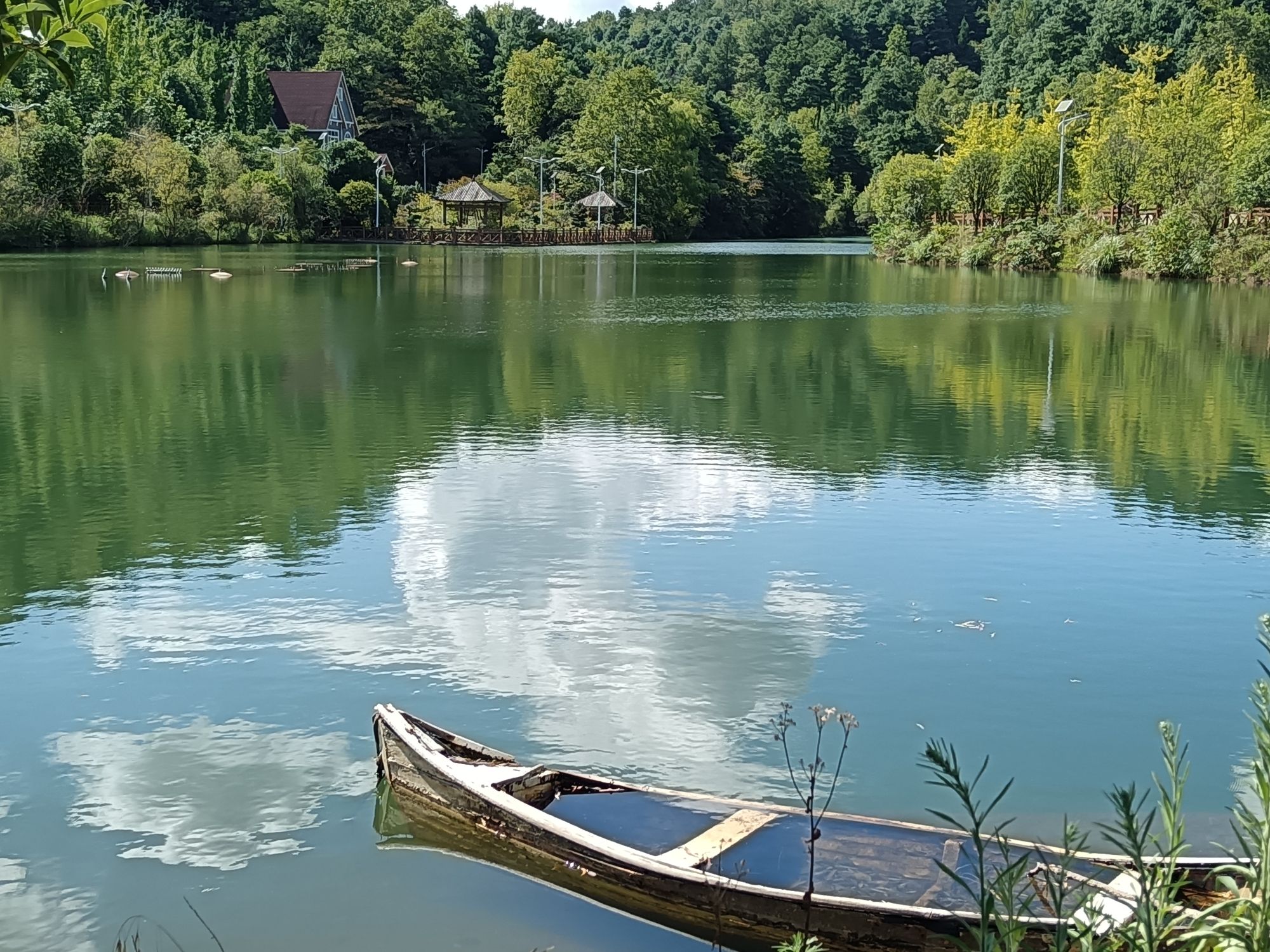 峰泰湖森林公园旅行图片 2