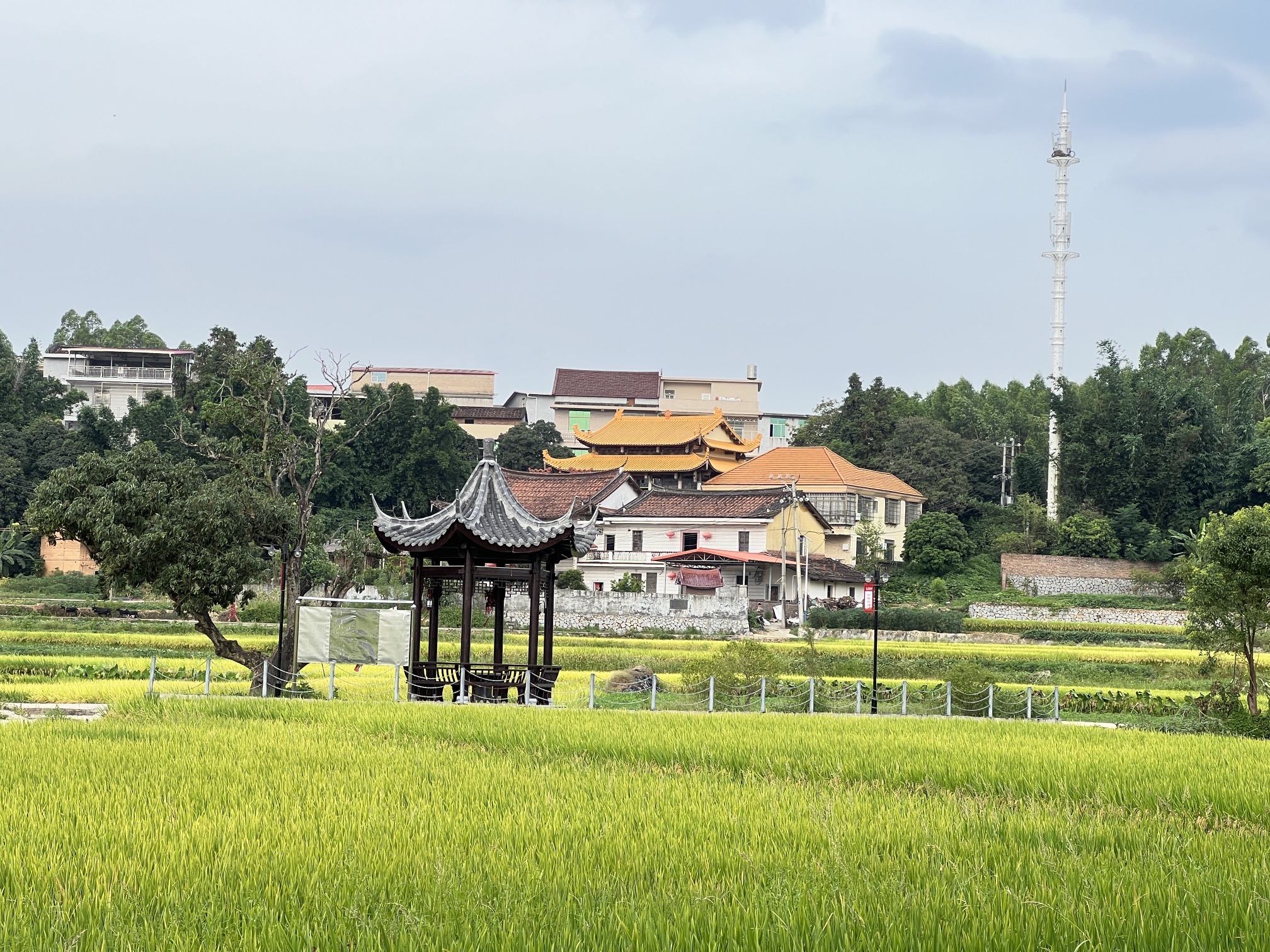 大运光兴寺