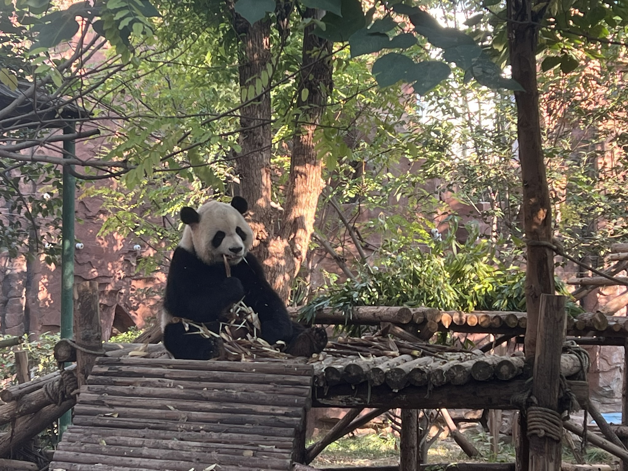 五龙山风景旅游区旅行图片 2