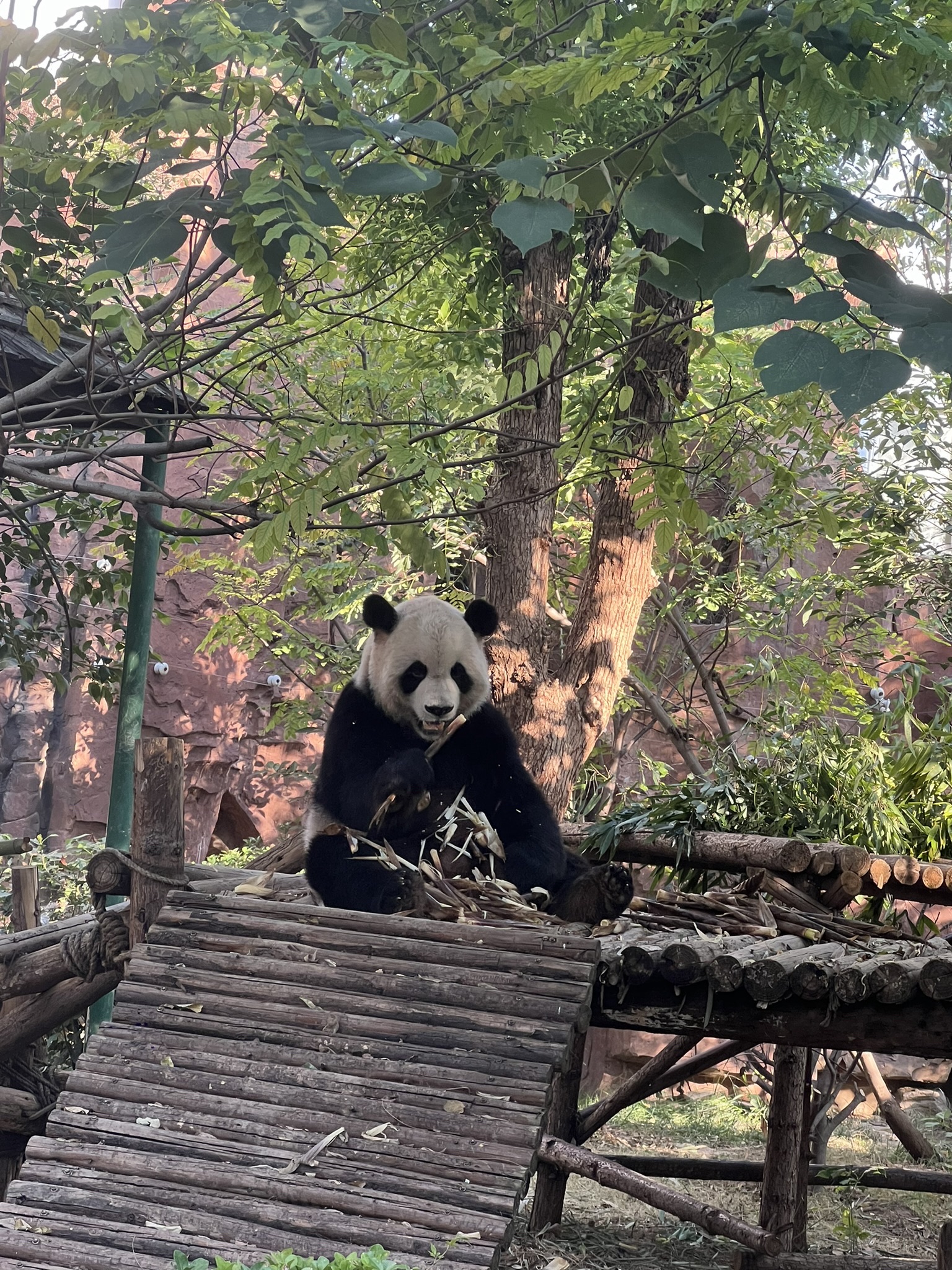 五龙山风景旅游区旅行图片 1