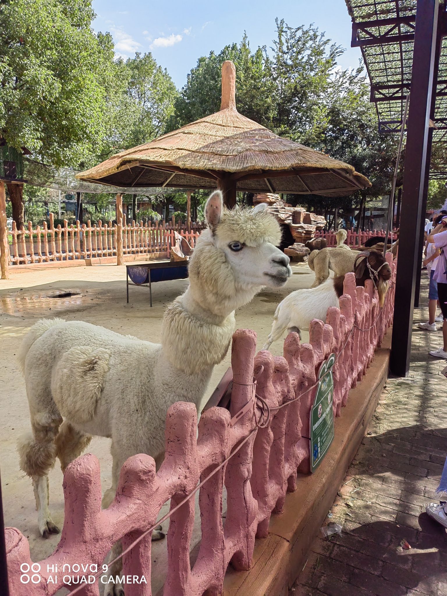 奇幻嘉乐比景区旅行图片 2