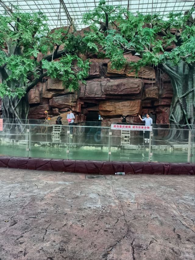 奇幻嘉乐比景区旅行图片 2