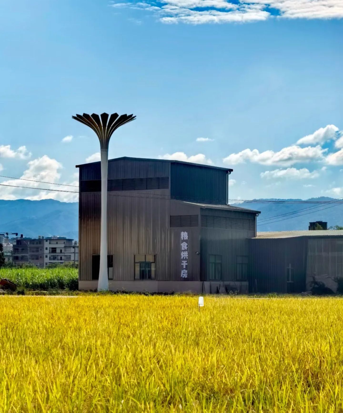 石鼓湿地公园旅行图片 3