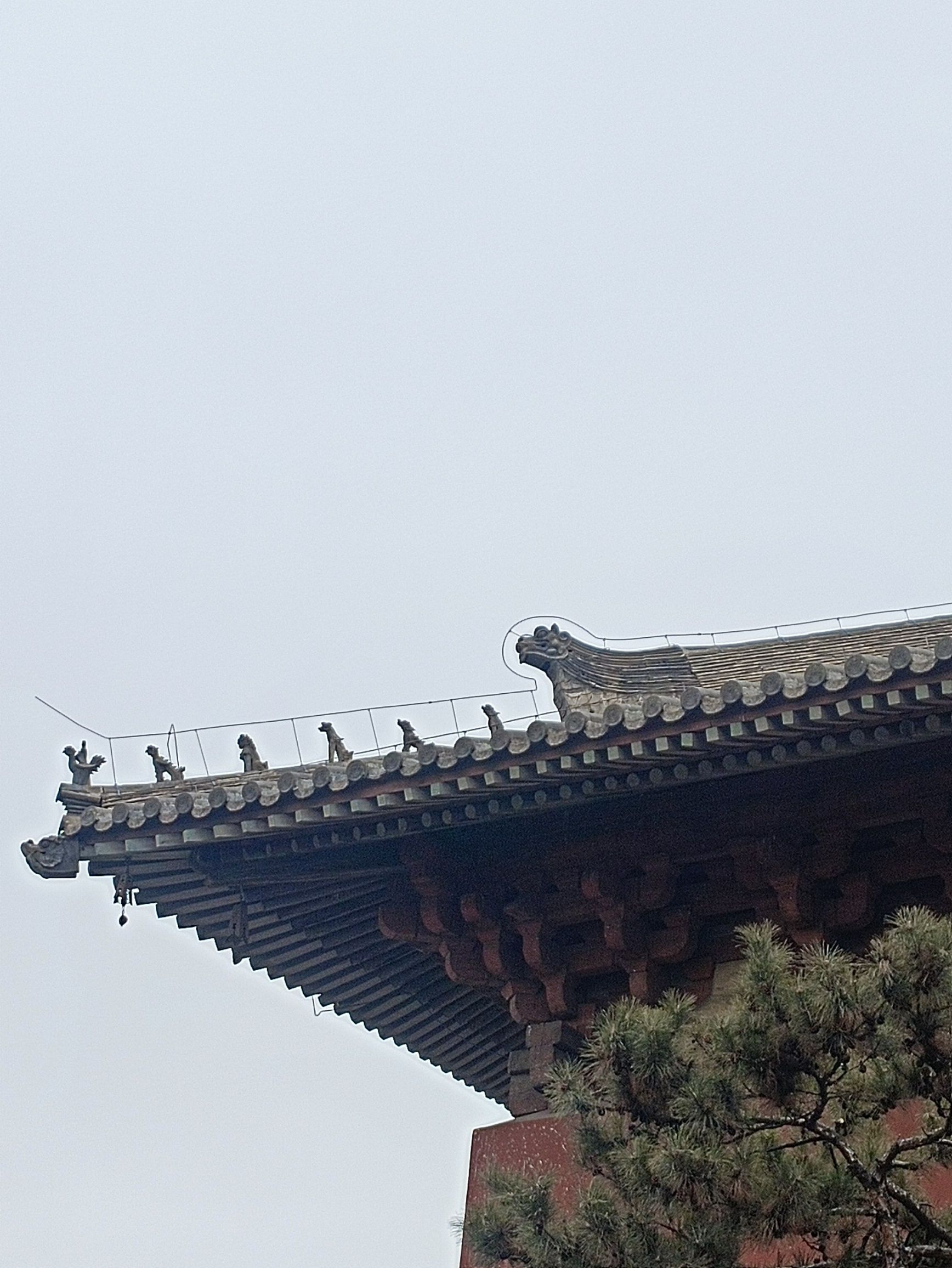 华严广场旅行图片 1
