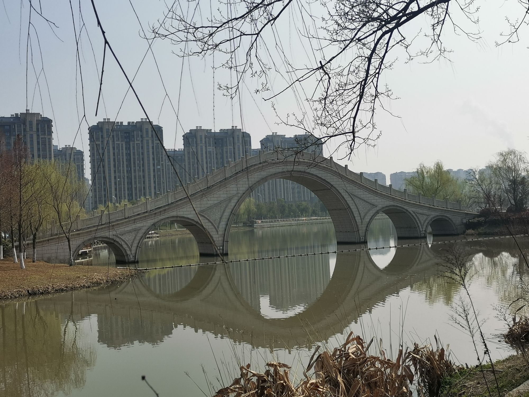 白龙湖公园旅行图片 1