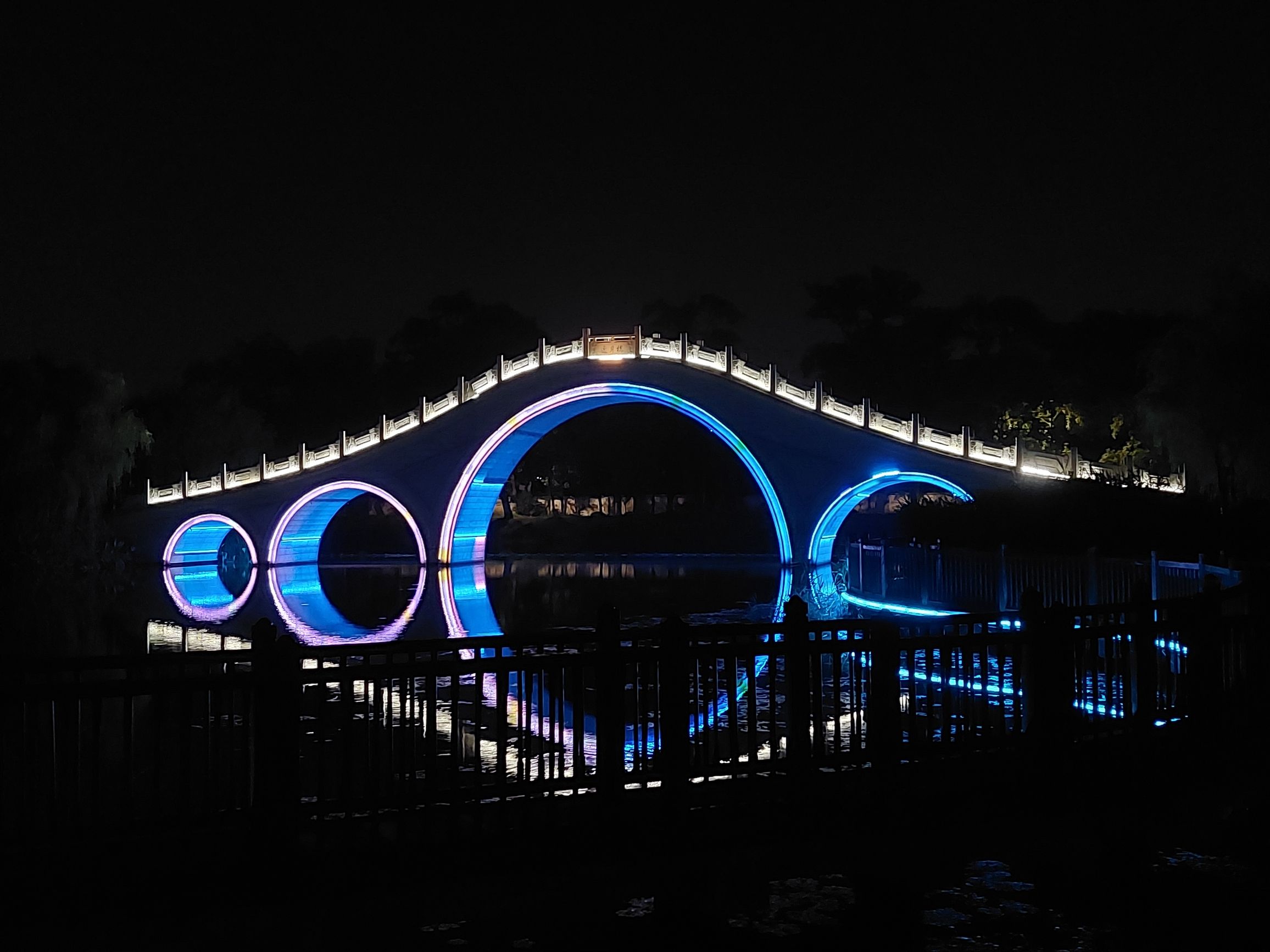 白龙湖公园旅行图片 1