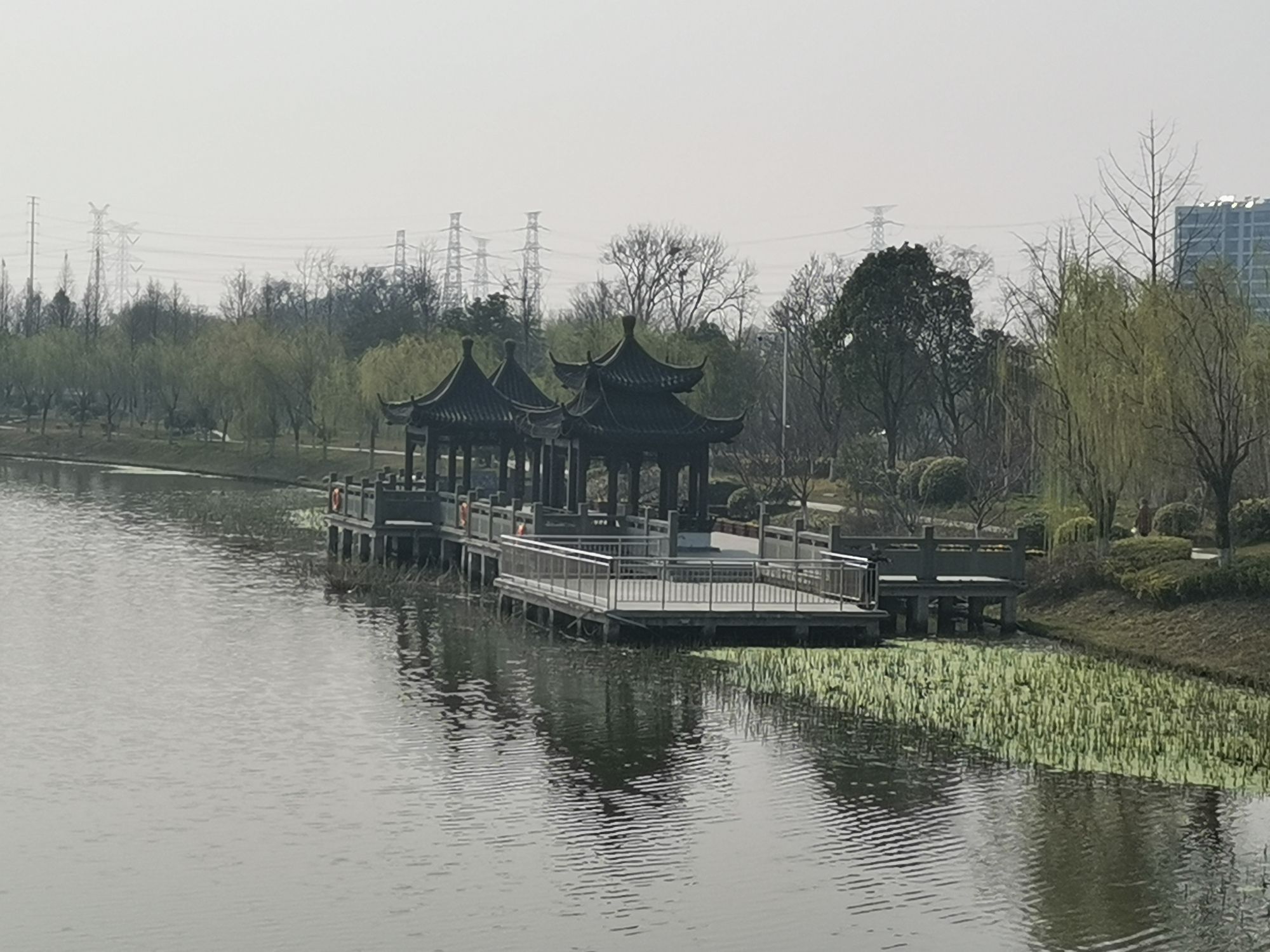 白龙湖公园旅行图片 2