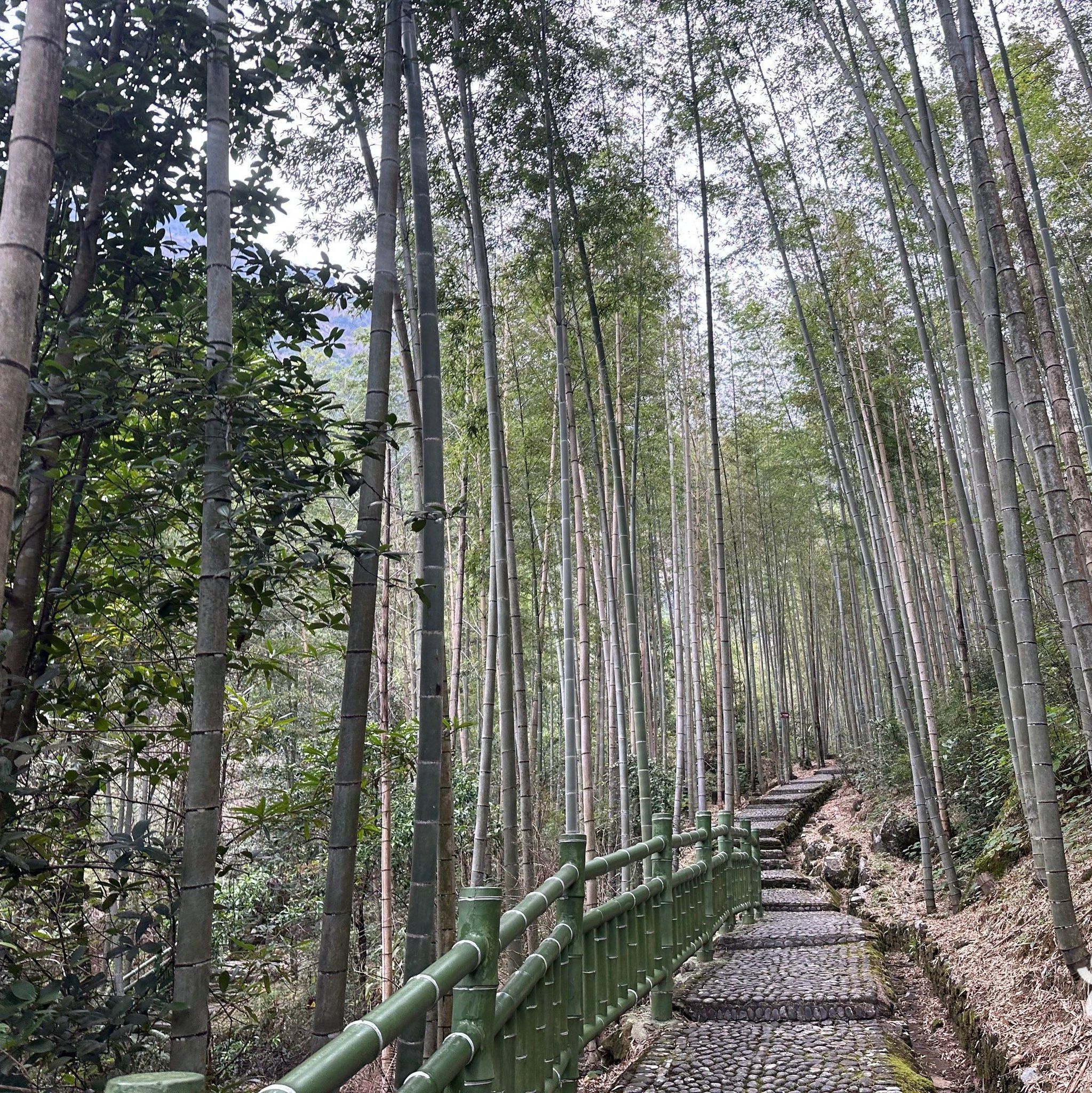 漓江源大峡谷旅行图片 2