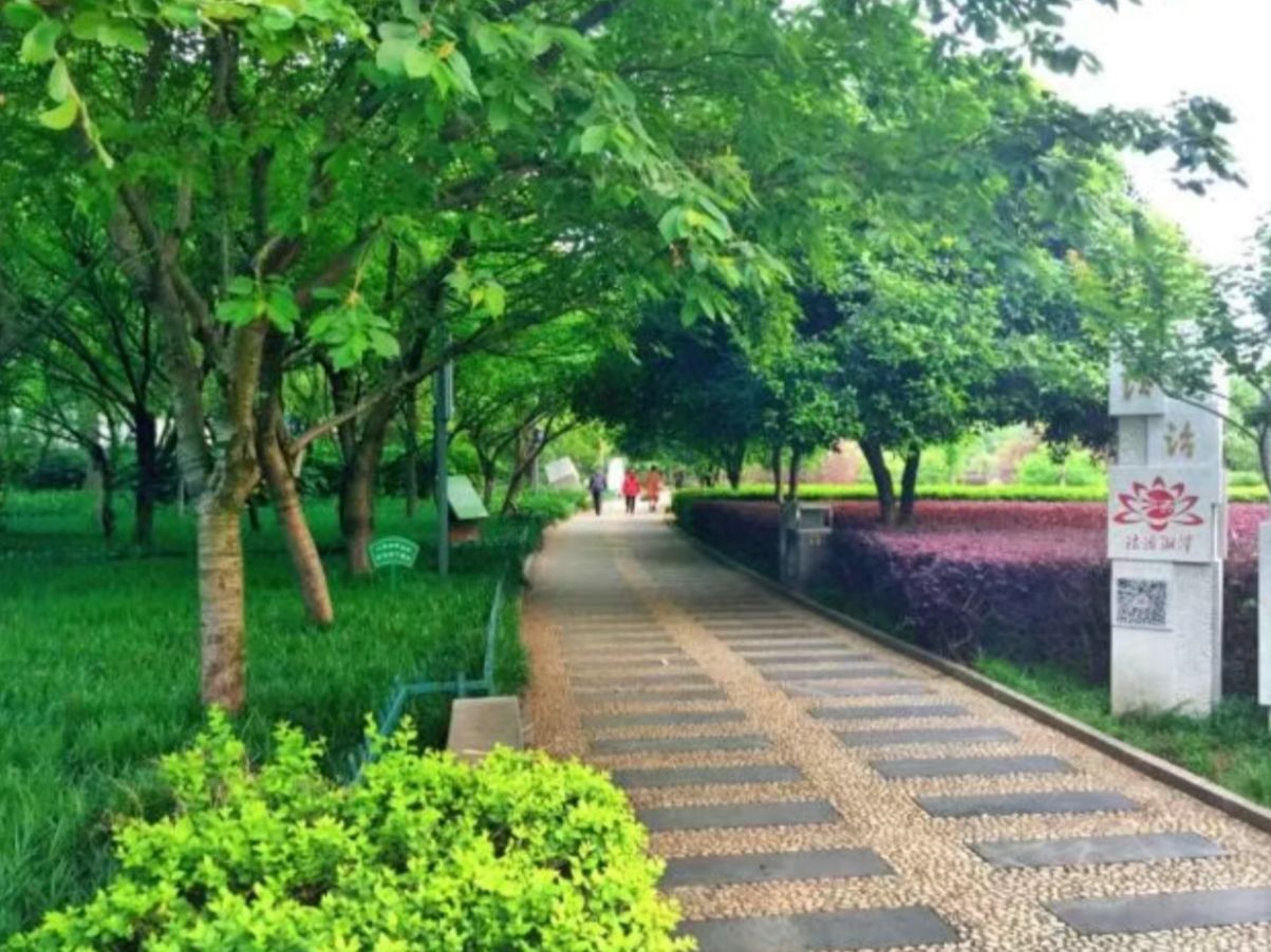 白石公园旅行图片 2