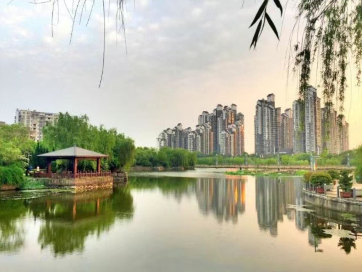 白石公园旅行图片 3