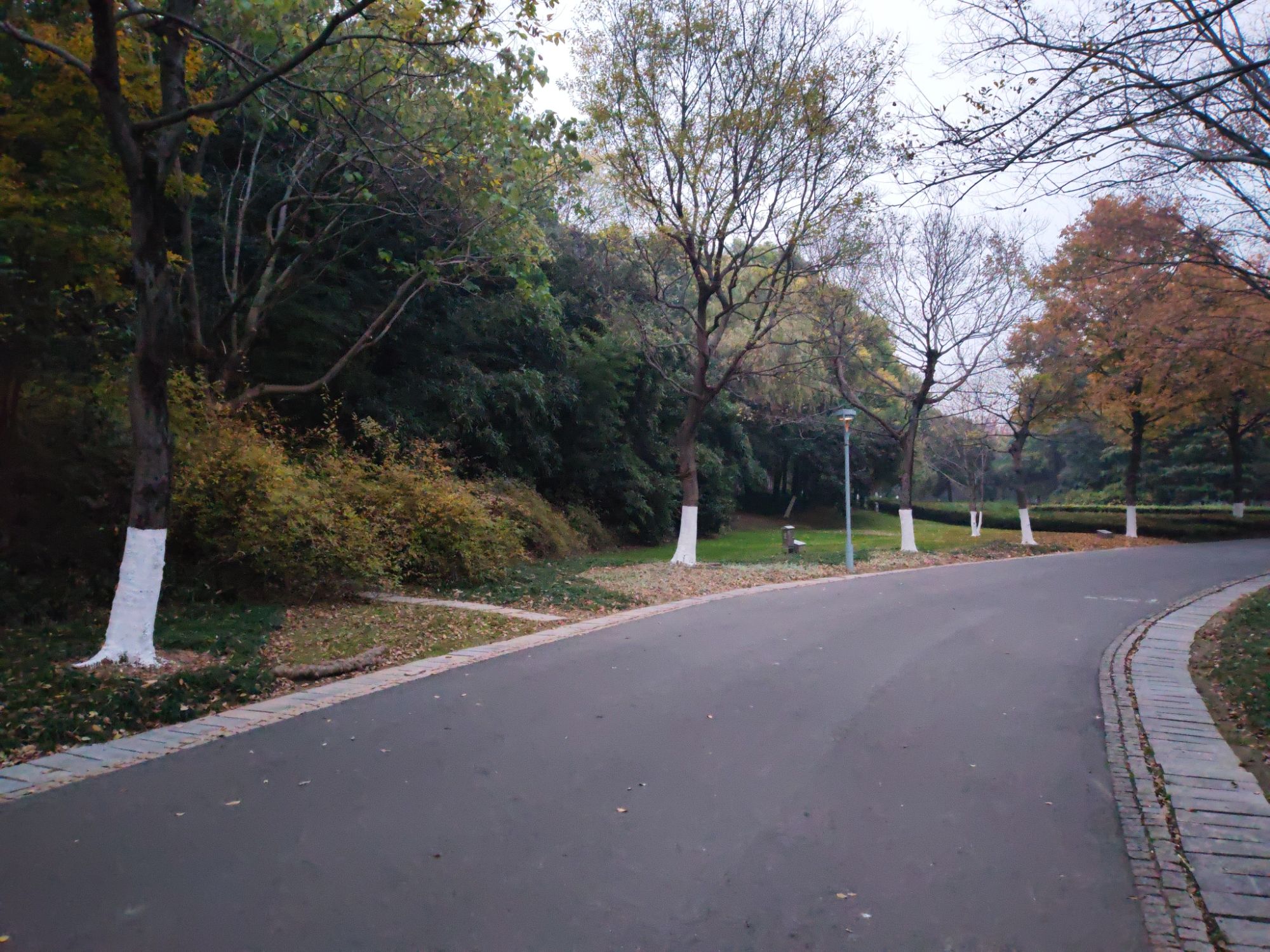 钵池山公园旅行图片 2