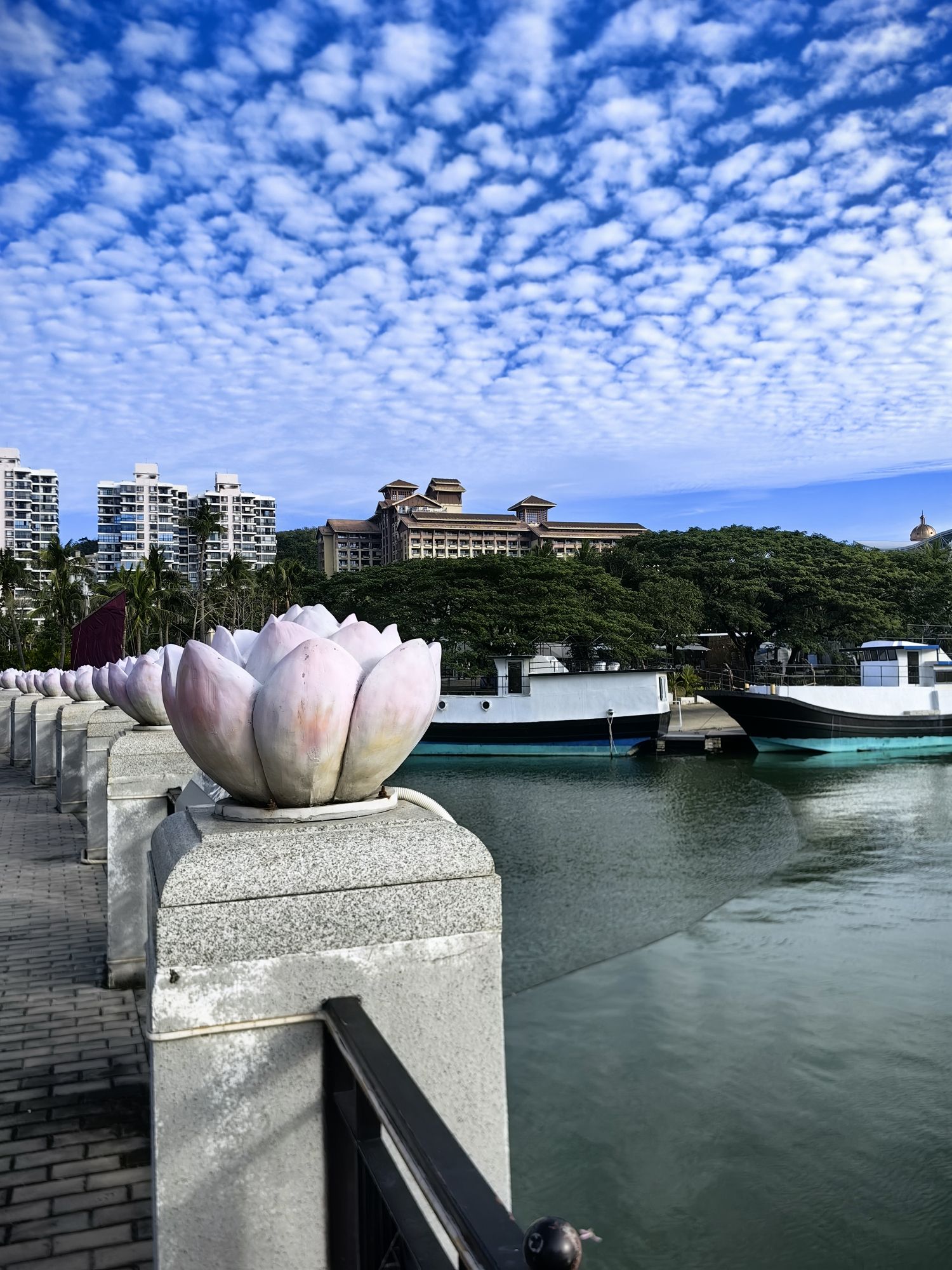 鹿回头滨河公园