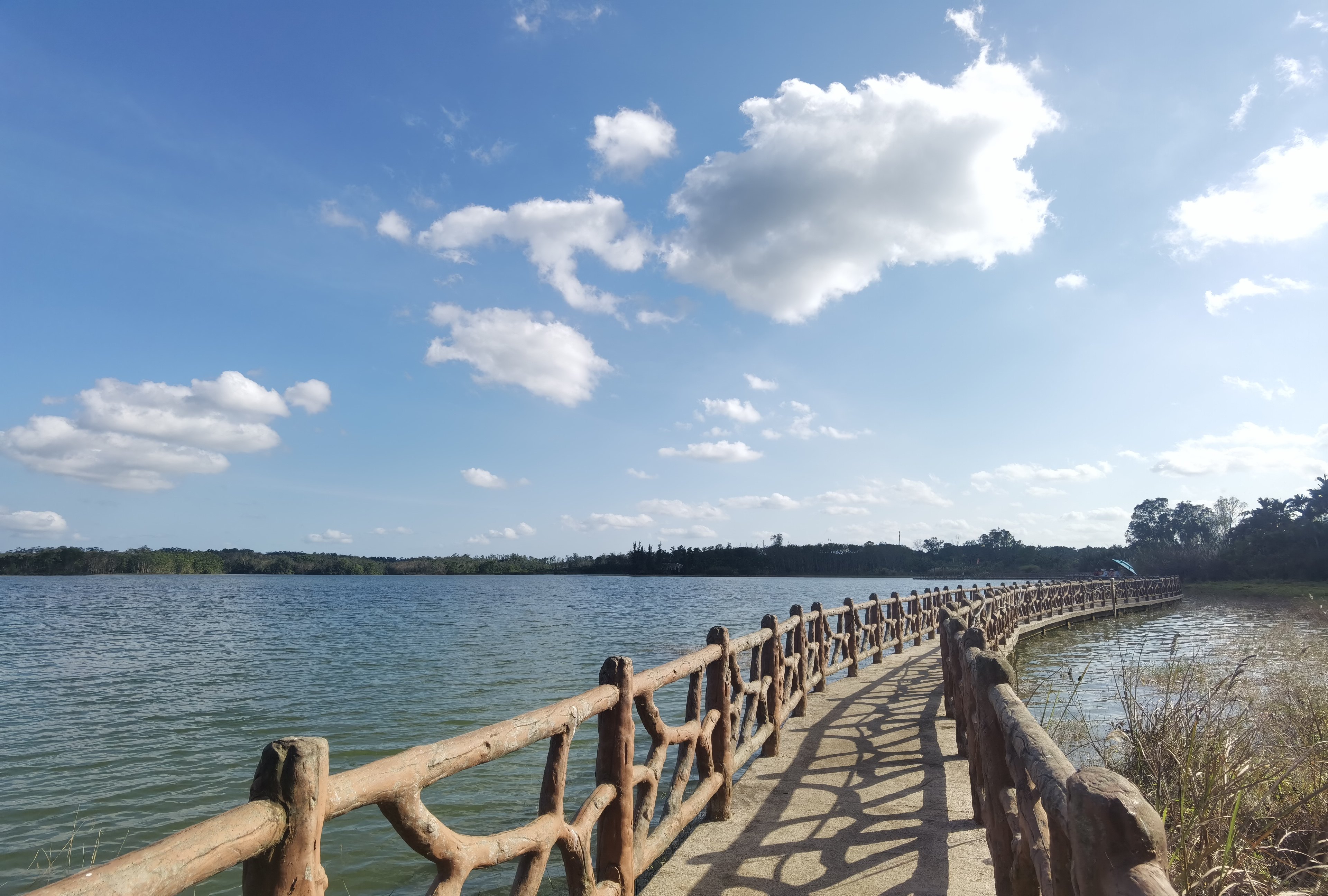 海南南丽湖国家湿地公园