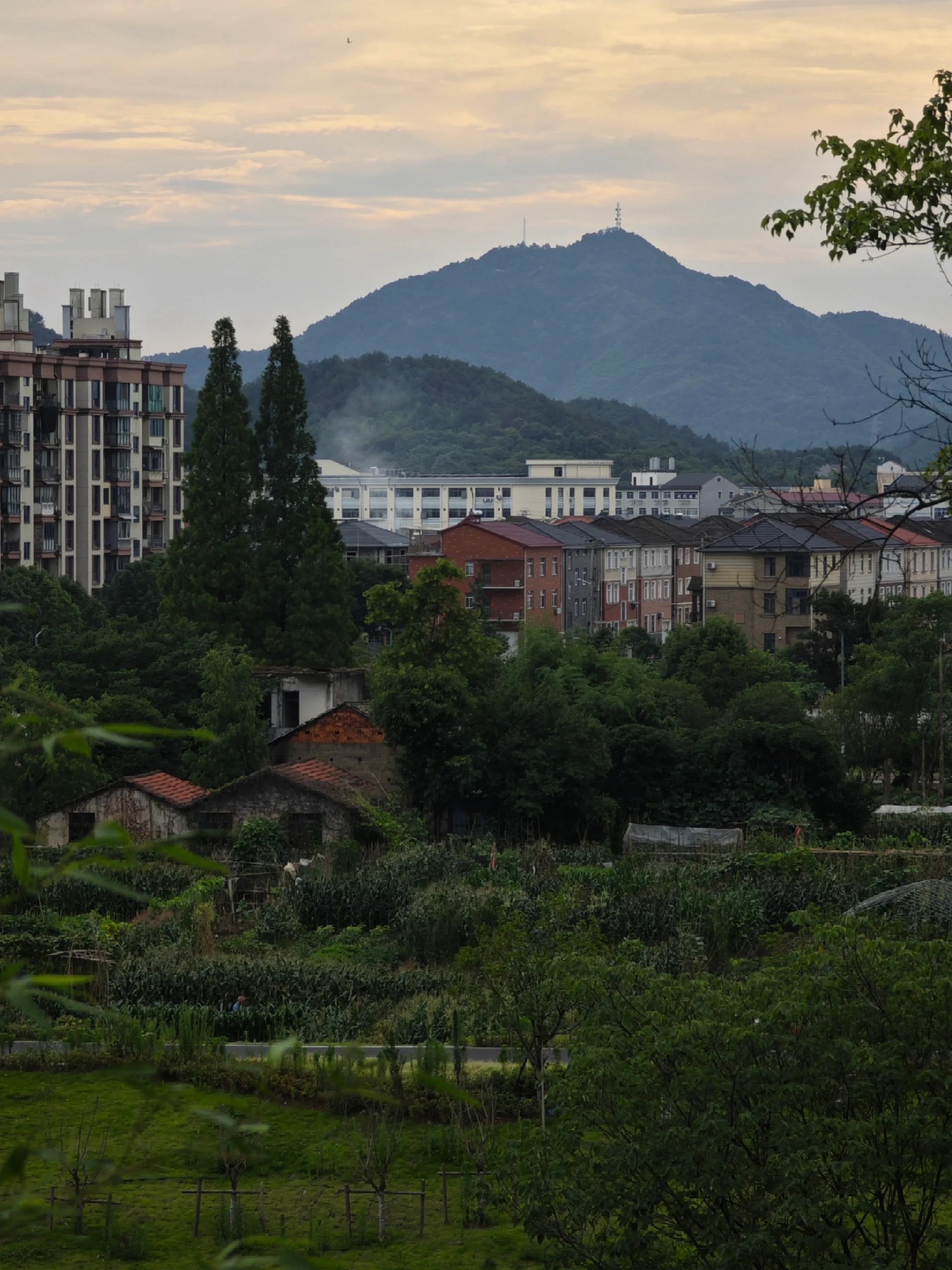 东化城寺塔旅行图片 3