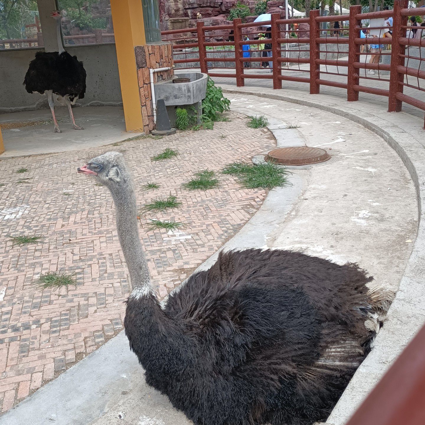 柘城县动物园旅行图片 2