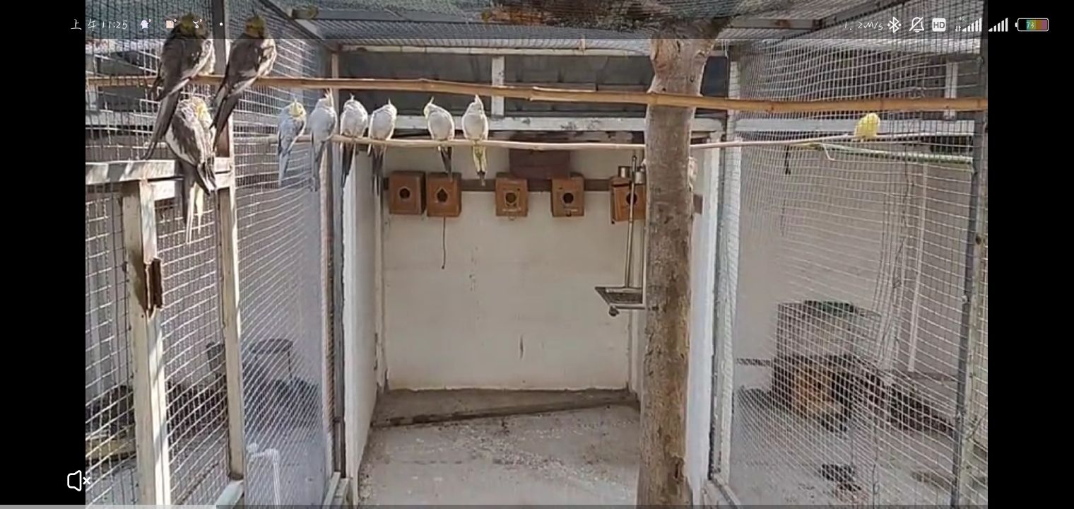 柘城县动物园旅行图片 1