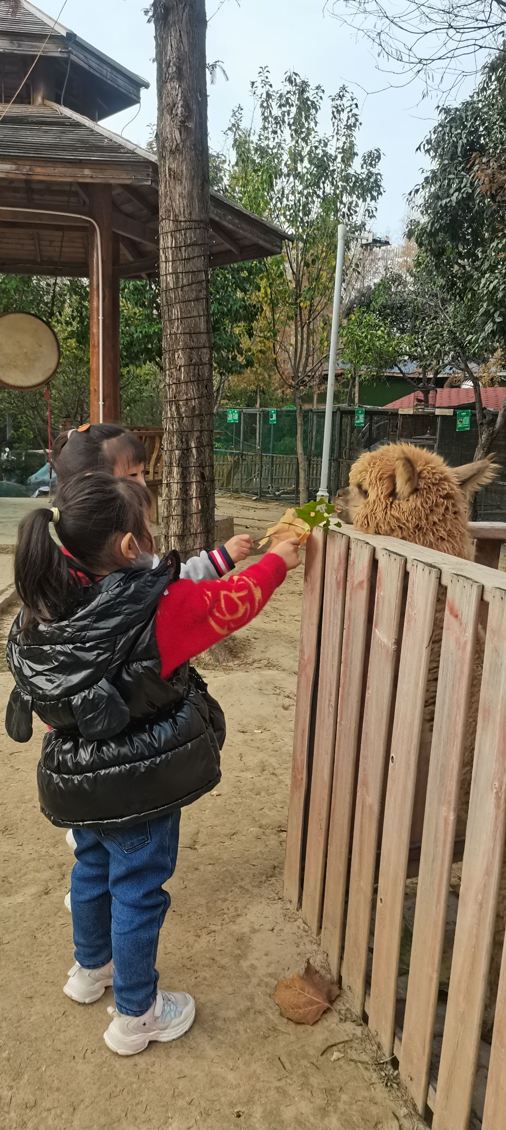柘城县动物园旅行图片 1