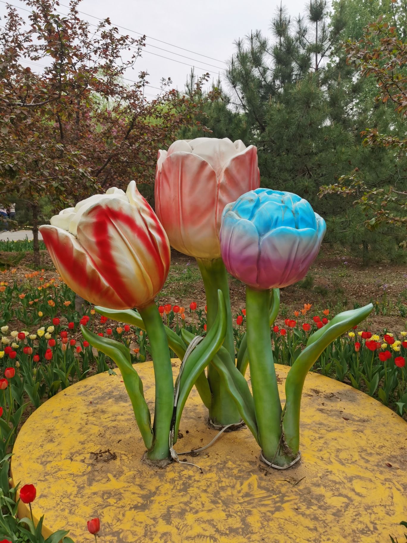 永定河绿色港湾旅行图片 2