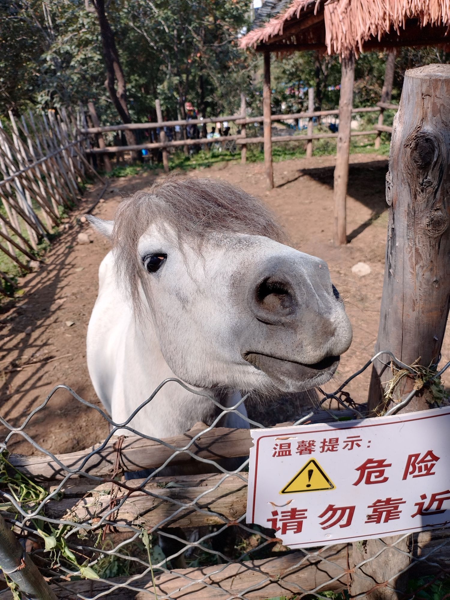 神泉山旅游景区旅行图片 3
