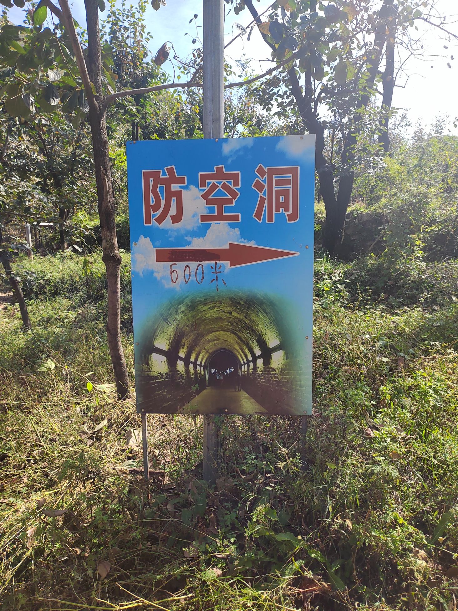 神泉山旅游景区旅行图片 3