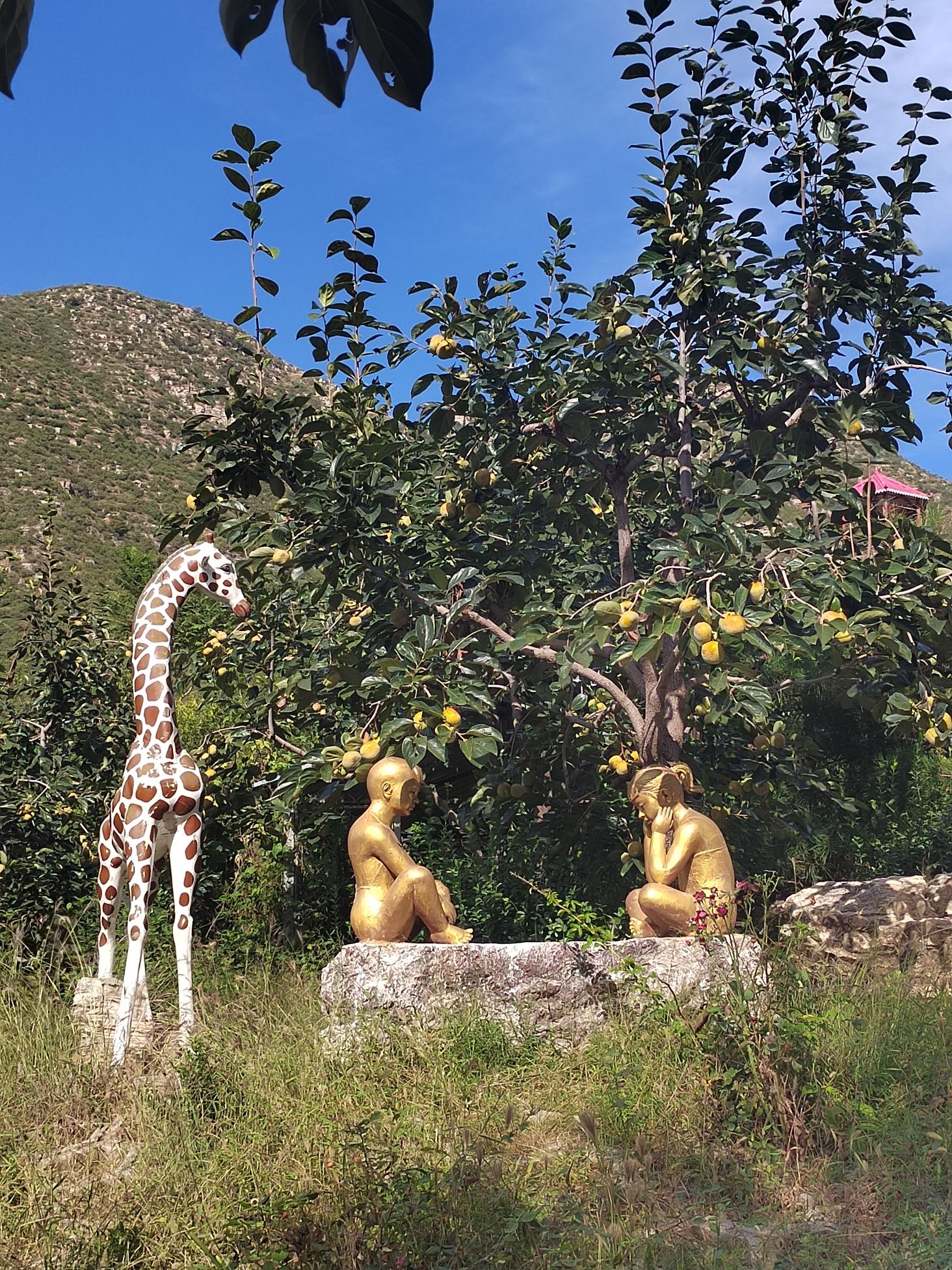 神泉山旅游景区旅行图片 1