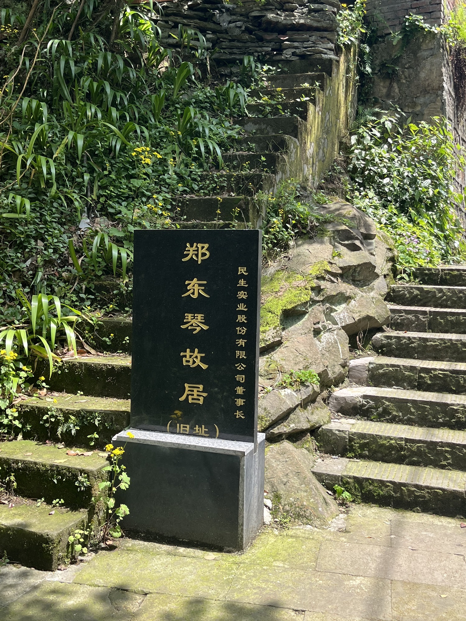 清水溪步道旅行图片 3