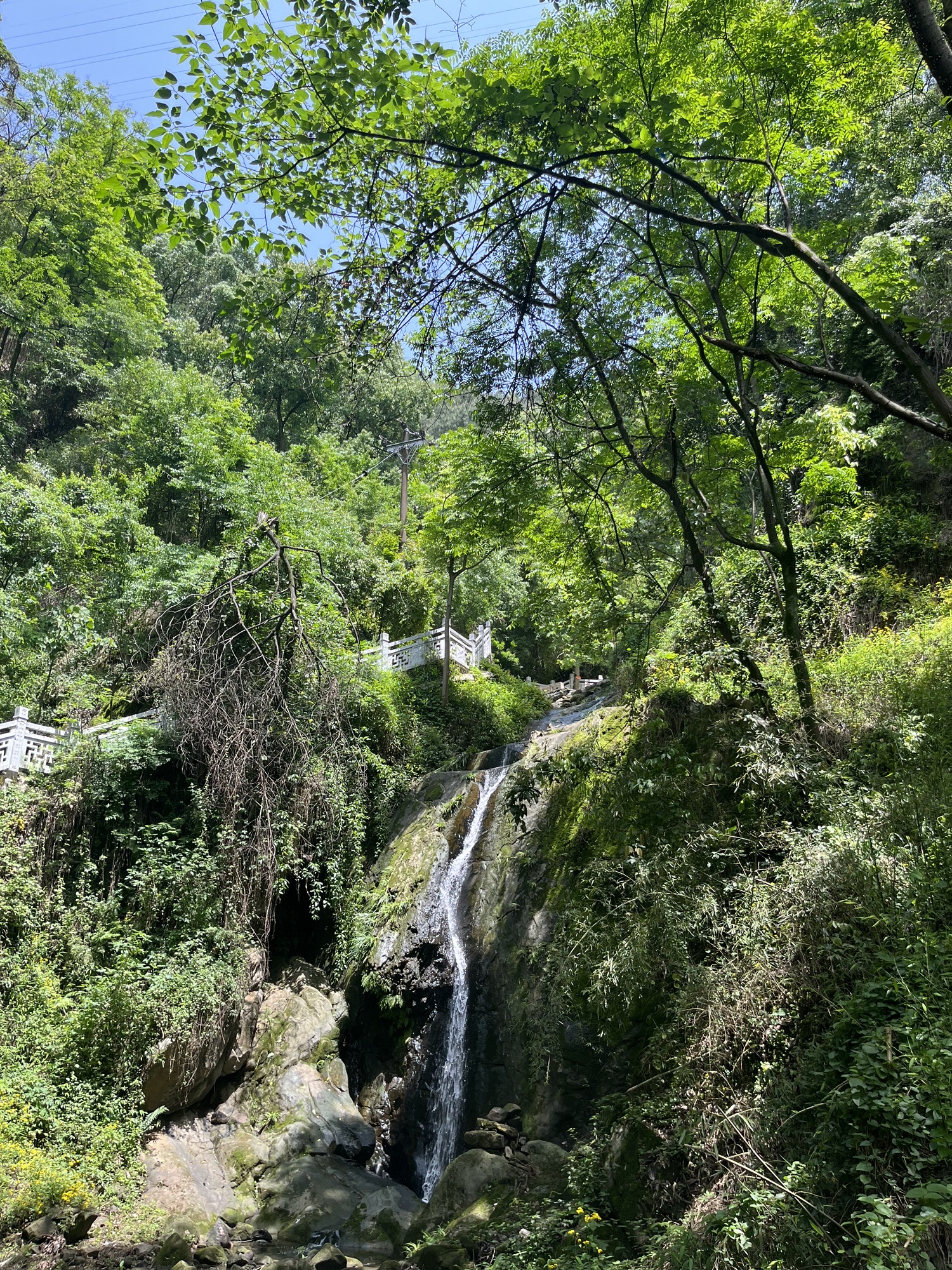 清水溪步道旅行图片 2