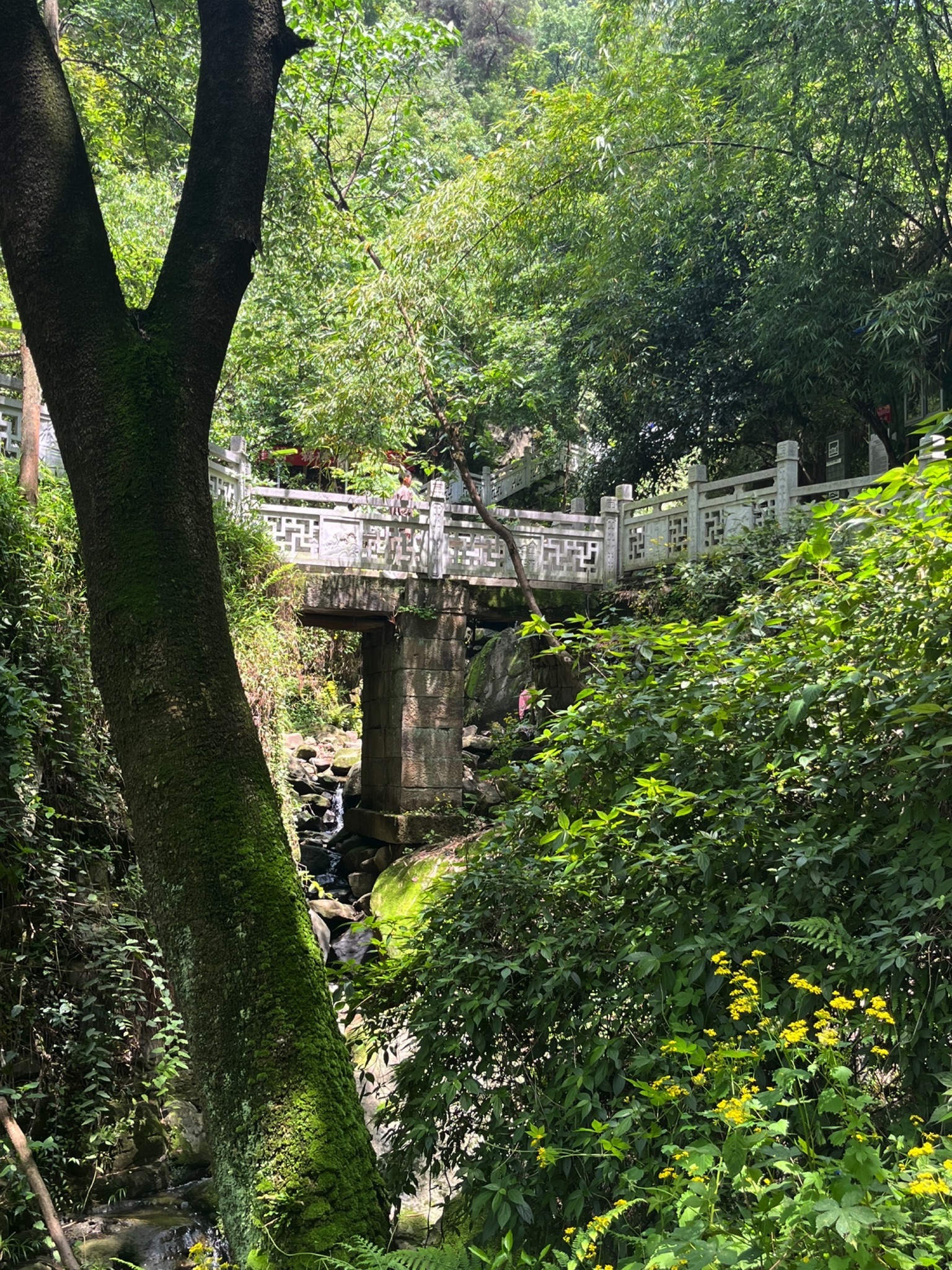 清水溪步道旅行图片 1