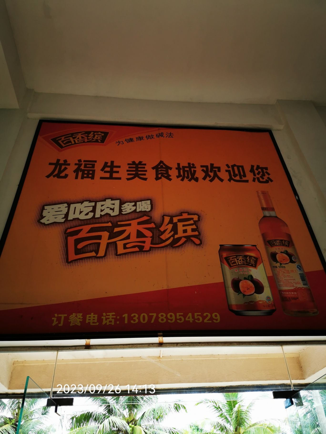 龙福生美食城·刺豚鱼·椰子鸡