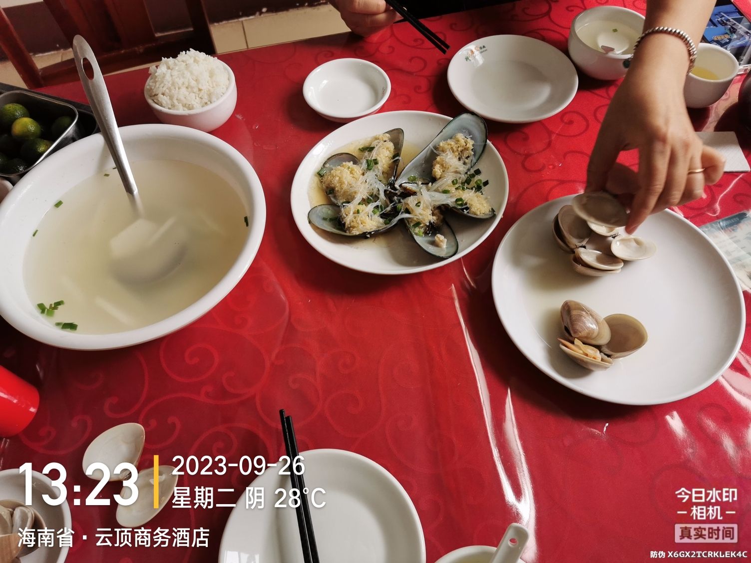 龙福生美食城·刺豚鱼·椰子鸡