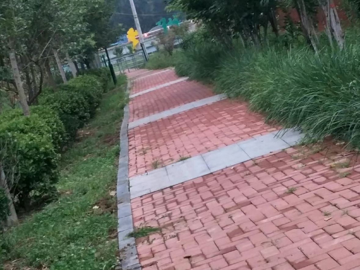 奥林匹克公园旅行图片 1
