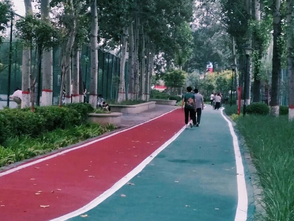 奥林匹克公园旅行图片 2