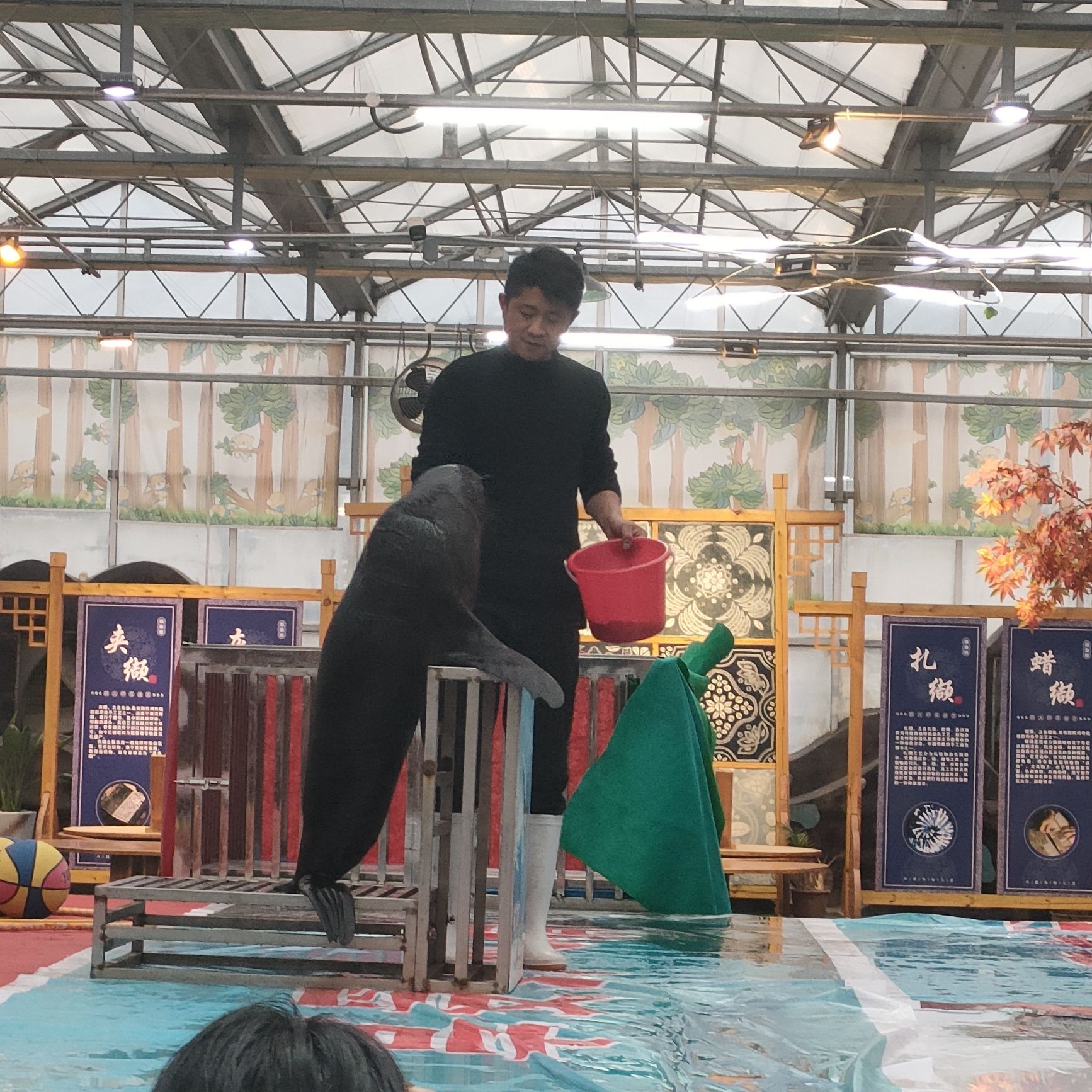 振兴小镇旅行图片 2