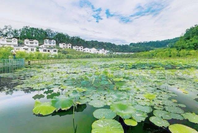 万寿养生谷旅游景区旅行图片 2