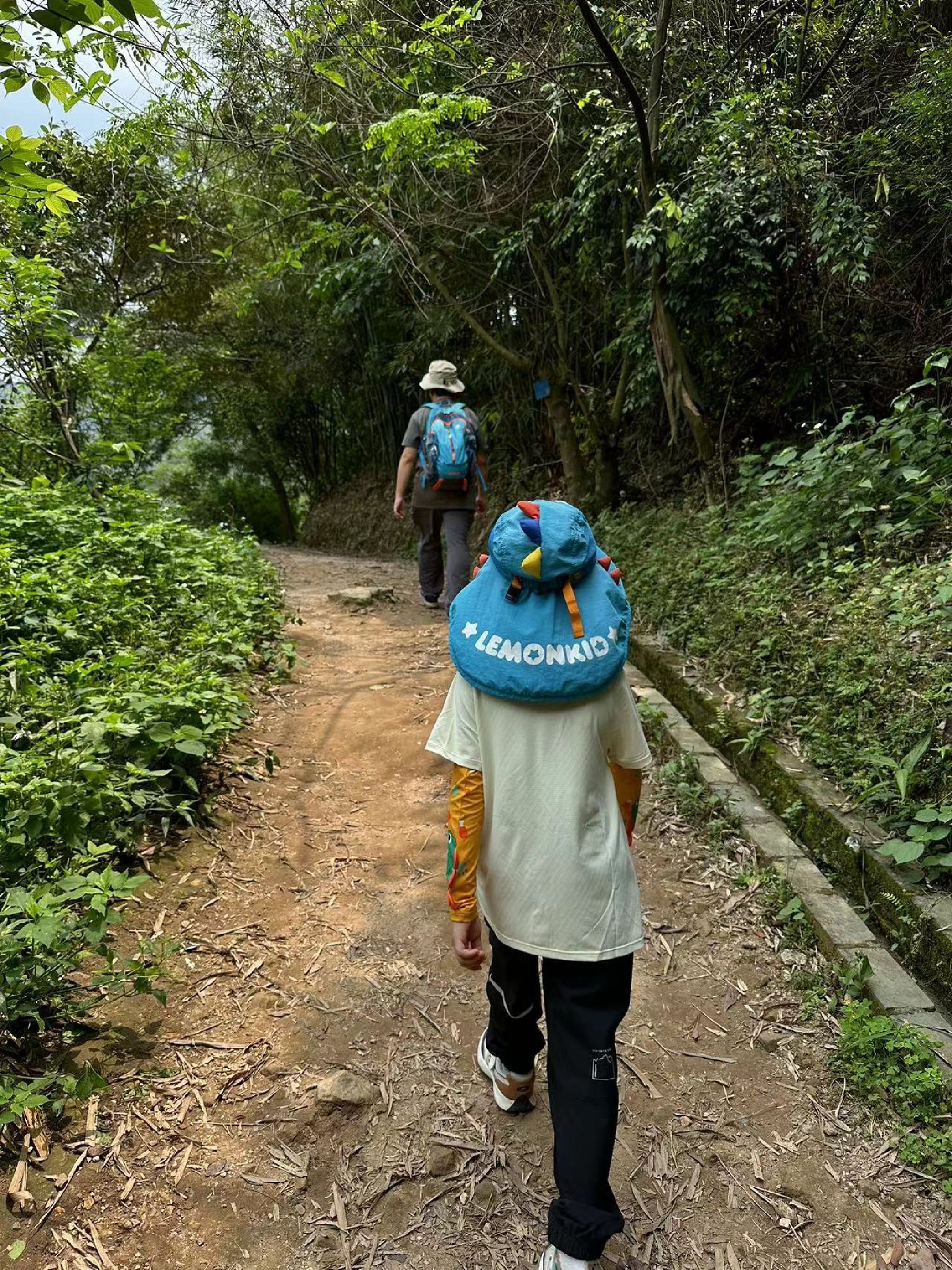 羚羊峡古栈道森林公园旅行图片 1